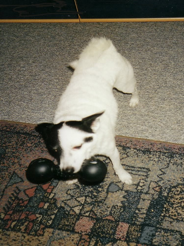 Charlie