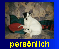 Galerie Persönliches